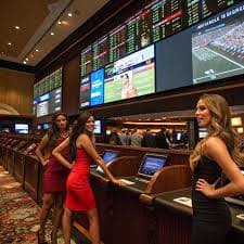 Sports betting and casino entertainment options available on 8999bet platform